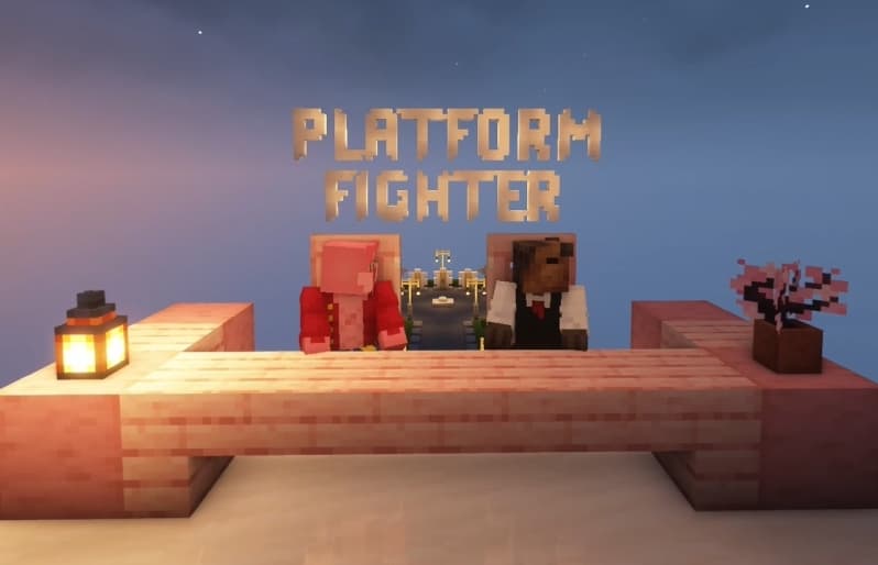 Platform Fighter